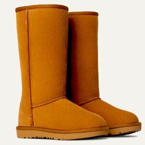 UGG Classic Brown Boots
